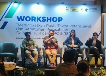 SPKS: Penerapan EUDR Dorong Pembenahan Tata Kelola Sawit