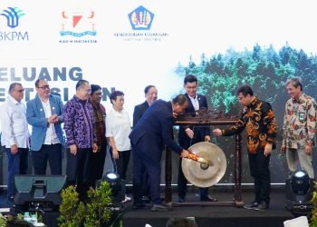Pemerintah Terus Dorong Partisipasi & Investasi Swasta di Pembangunan IKN