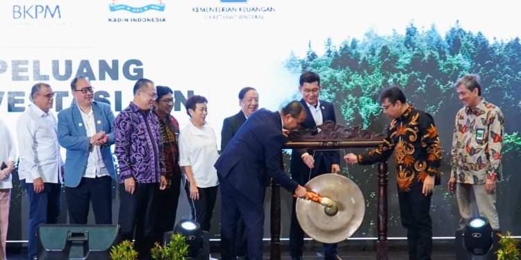 Pemerintah Terus Dorong Partisipasi & Investasi Swasta di Pembangunan IKN