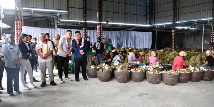 Ini Langkah KemenKopUKM Dorong Komoditas Durian Bersaing di Pasar Global