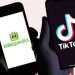 Tiktok Tokopedia Menyatu, Cinta Produk Lokal Harus Lebih Menggema