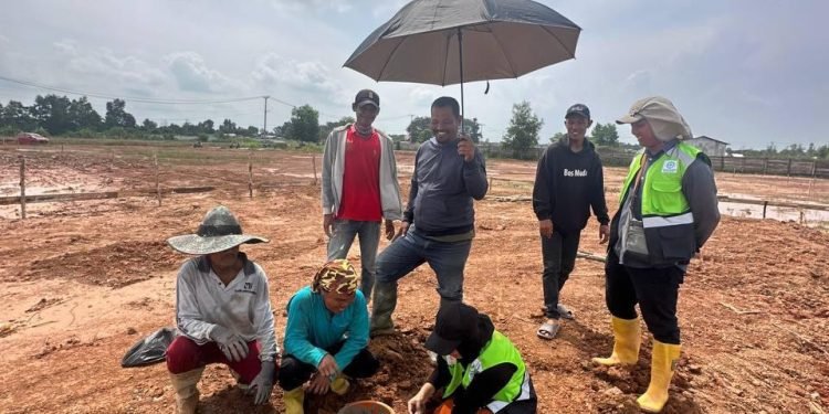 Royal Grande Residences Mulai Bangun Rumah Contoh. Pengembang: Pasar Palembang “Ga Mau” cuma Lihat Gambar   