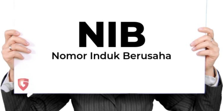 Pecah Rekor, Kementerian Investasi Sukses Terbitkan 8 Juta NIB