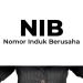 Pecah Rekor, Kementerian Investasi Sukses Terbitkan 8 Juta NIB