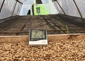 Berdayakan SDM Lokal, Kemenperin Akan Gelar Diklat 3 in 1 Pengolahan Kopi di Bantaeng