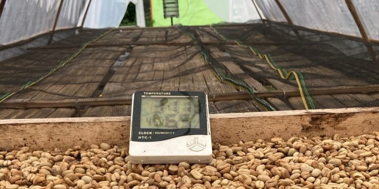 Berdayakan SDM Lokal, Kemenperin Akan Gelar Diklat 3 in 1 Pengolahan Kopi di Bantaeng