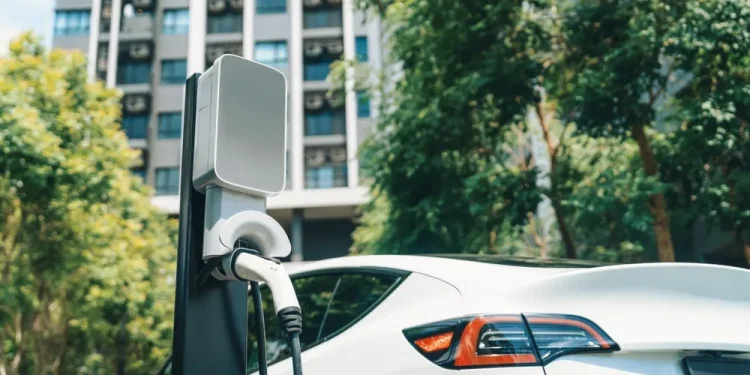 Miliki Cadangan Nikel 5,3 Miliar Ton, Indonesia Berpotensi Jadi Pemain Kunci Ekosistem EV