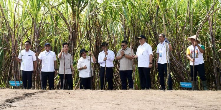 Dukung Swasembada Gula, Pupuk Indonesia Gelar Panen Tebu & Rembuk Tani Bersama Wapres