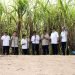 Dukung Swasembada Gula, Pupuk Indonesia Gelar Panen Tebu & Rembuk Tani Bersama Wapres