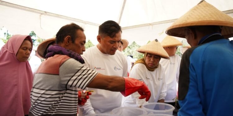 Lewat Pompa Tenaga Surya, PIS Salurkan 5 Juta Air Bersih Bantu Petani di Pedalaman Labuan Bajo