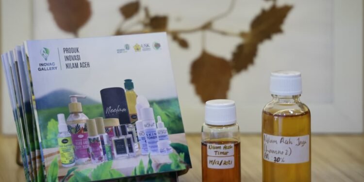 Dongkrak Ekspor dan Lapangan Kerja, Kementerian UMKM Dorong Hilirisasi Nilam