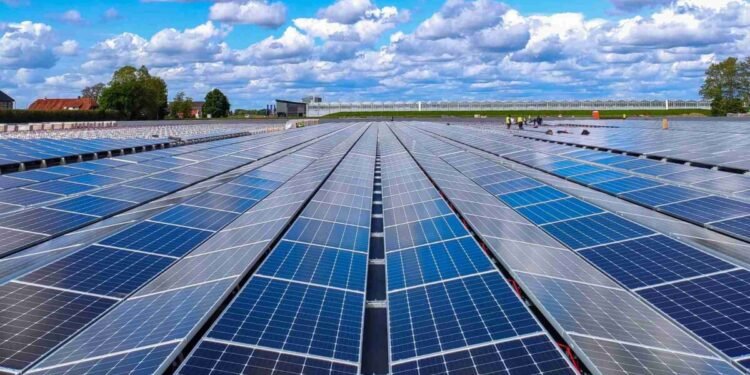 Kemenkop dan Rumah Energi Perkuat Koperasi Hijau Dukung Target PLTS 100 GW