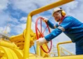 PGN Bakal Garap Gas Sengeti, Industri Bisa Dapat Pasokan Baru