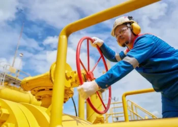 PGN Bakal Garap Gas Sengeti, Industri Bisa Dapat Pasokan Baru