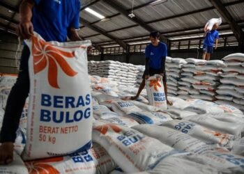 Bulog Sudah Serap 3,4 Juta Ton Beras, Target 4 Juta Ton Tinggal Selangkah Lagi